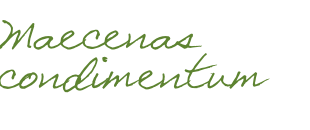 Maecenas condimentum 